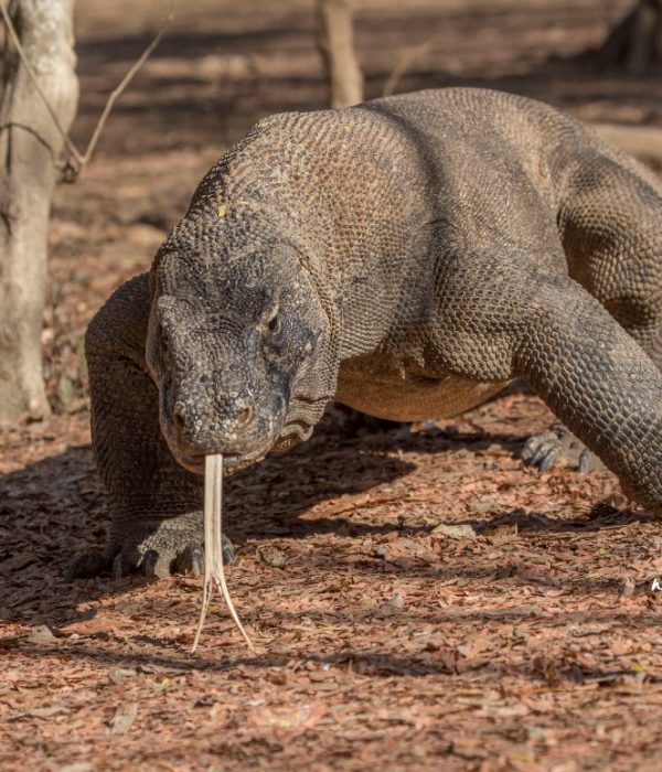 6aa2807d-b675-4115-b52c-3cc75e543fad