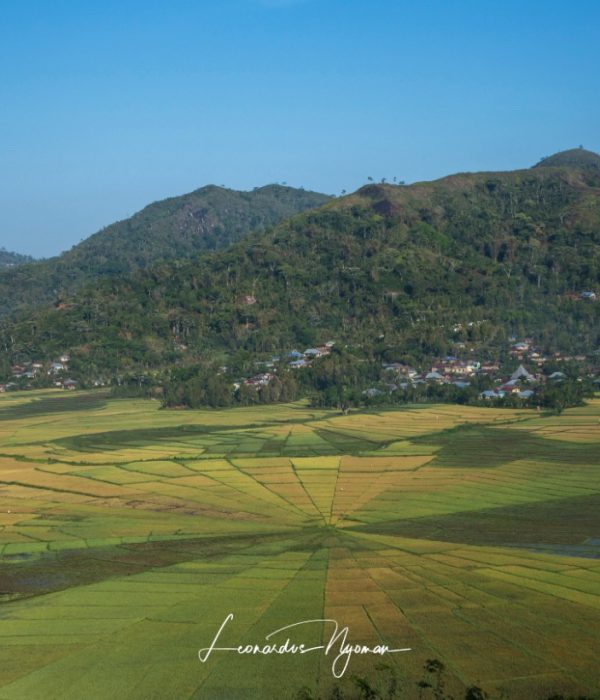 71b592fa-06ea-44f2-a890-48856edc7fbe