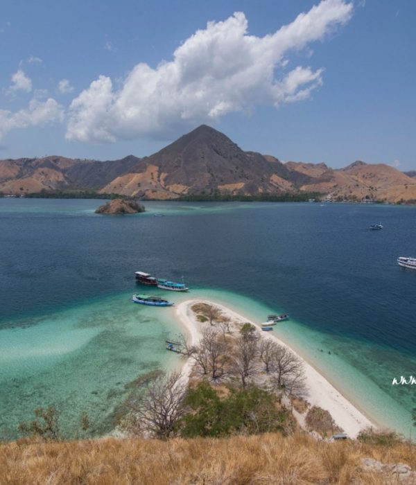 9b3d8754-1a3b-4594-af1d-64ef3d4f498a