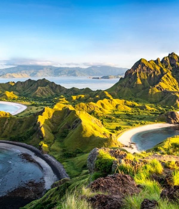 Explore the Komodo National Park